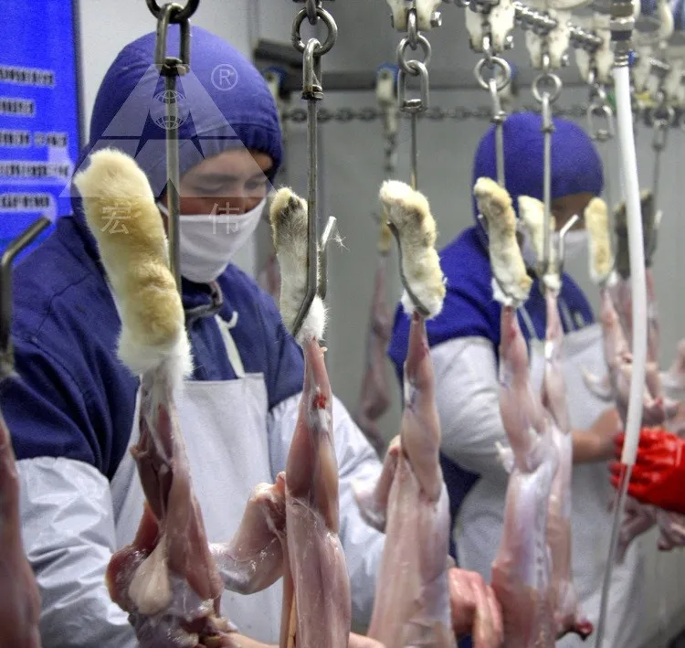 rabbit slaughter equipment.jpg