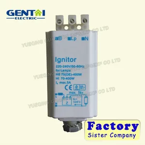 ignitor meaning
