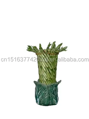 
Farm price dracaena sanderiana indoor live aquatic potted plants Chinese Fengshui wheel lucky bamboo 