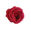 Hot sale artificial flowers silk rose heads flowers background for wedding decor