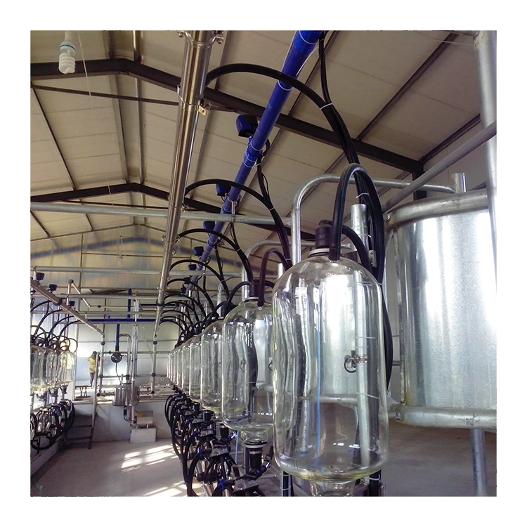 best selling digital meter modern cow goat automatic milking parlor for big farm equipment