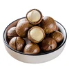2019 New Crop Macadamia Nuts Salted And Roasted Organic Shelled High Quality For Sale With Low Price