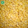 Long-term Grade A price canned baby corn for sale
