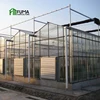 No welding structure parts ventilation system commercial multi span blackout glass shed greenhouse for sale