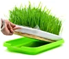 /product-detail/hydroponic-planting-tray-greenhouse-plastic-seed-tray-60809845565.html