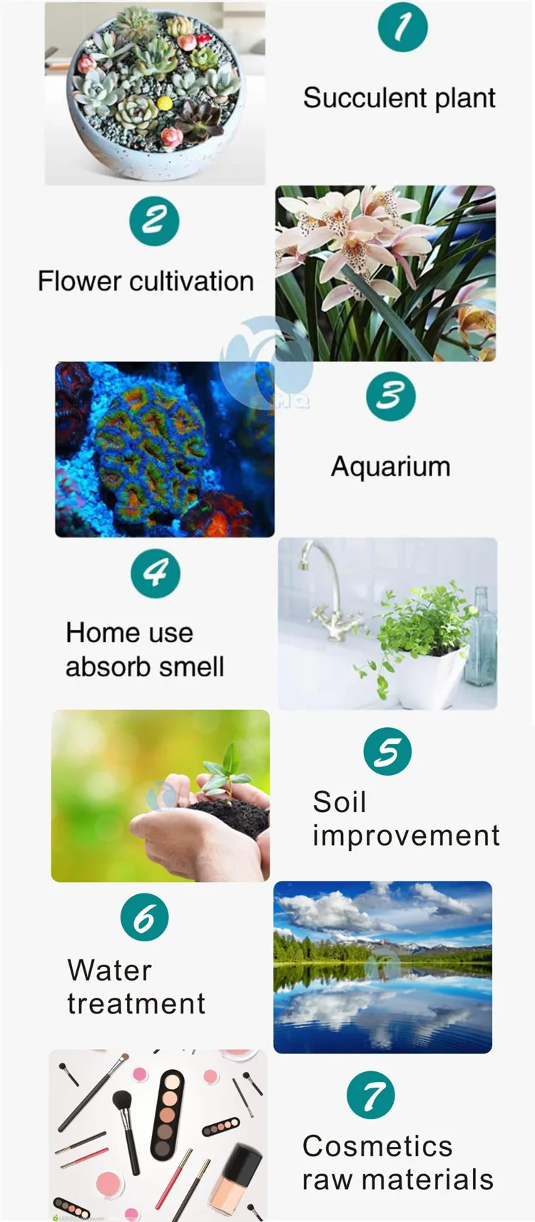 Natural Zeolite Stone for Water Purification in Ponds - Zeolite Vs Calcium Sand For Improving Water Cycle Efficiency In Aquatic Systems