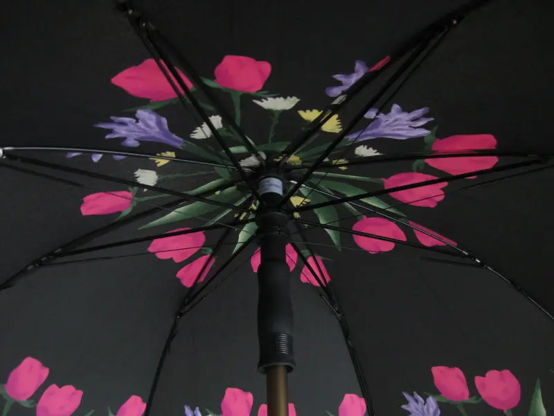 sample photos 003.jpg