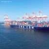 sea shipping forwarder from Ningbo to Bangkok