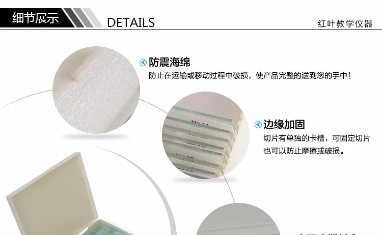 005 microscope slides specimen.jpg