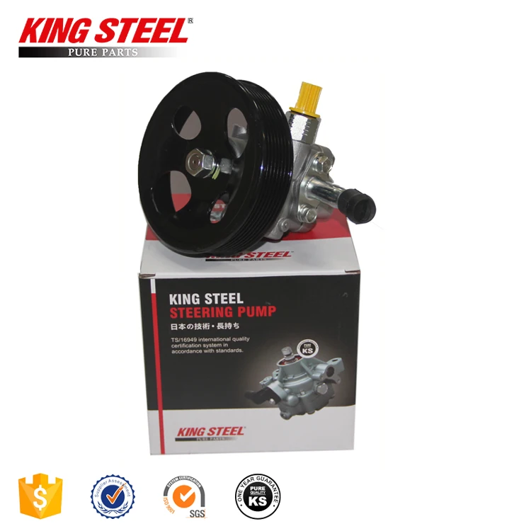 491101la0b 491107s000 Power Steering Pump For Armada Infiniti Patrol