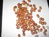 Jumbo Peanuts runner type