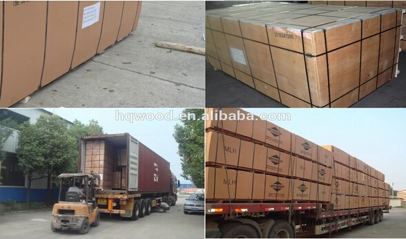 Packaging & Shipping