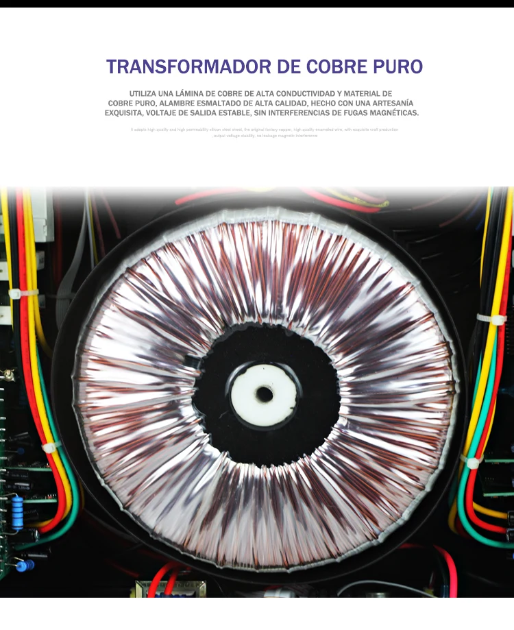 Laikesi Amplificador de Audio Potencia profesional