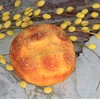 Artificial foam Bread , Simulation Bread, Food Model Oem Factory