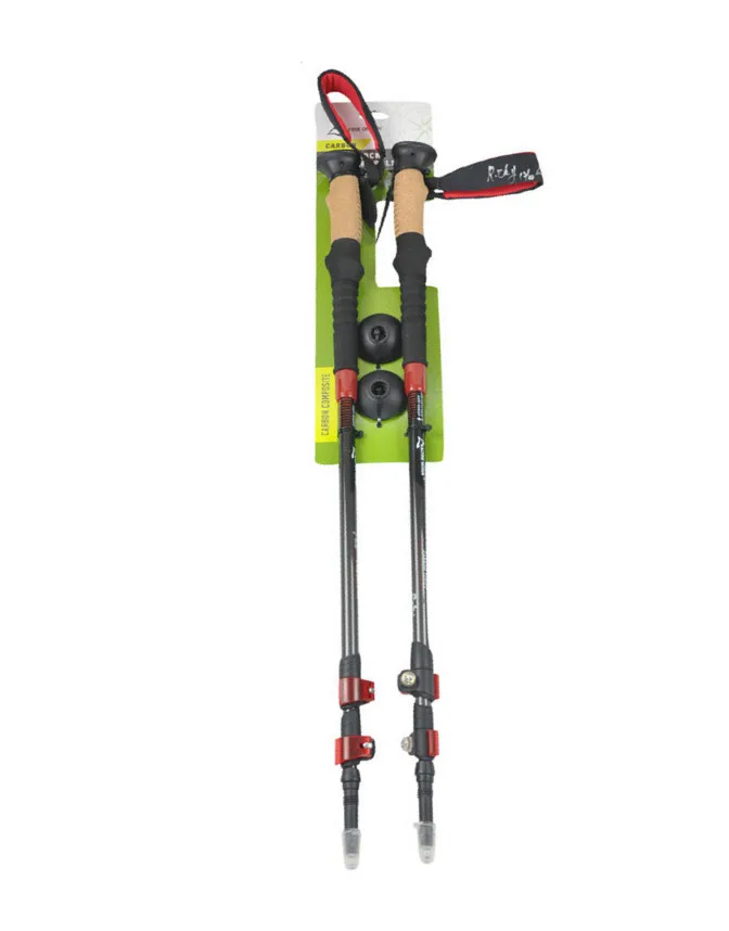 trekking pole.jpg