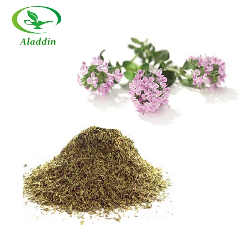 Hot Selling Thyme Extract Thymus Vulgaris Extract Powder Thymus