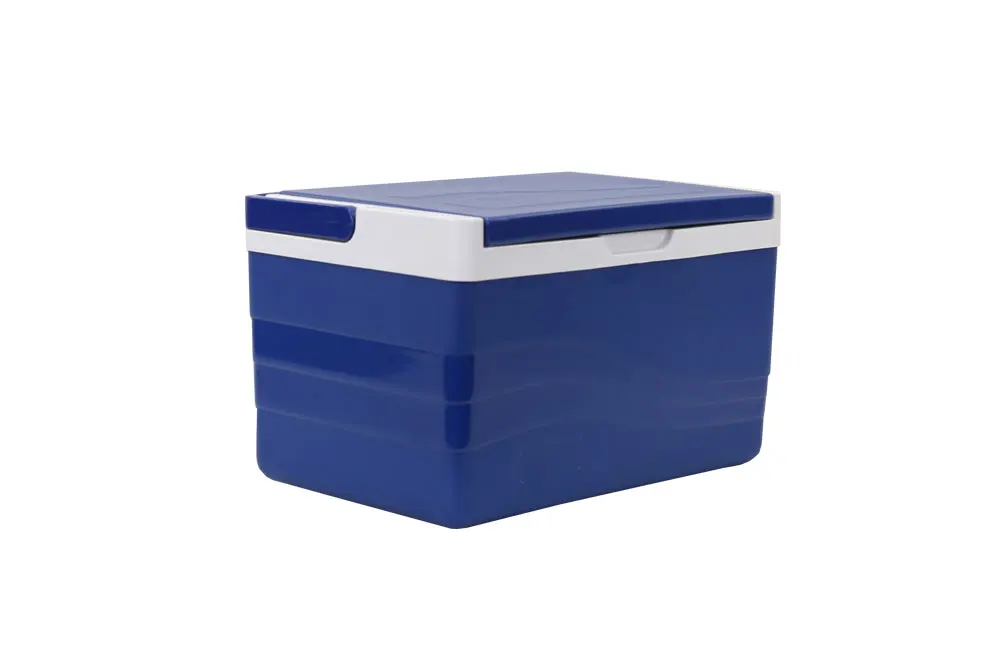 mini insulated cooler