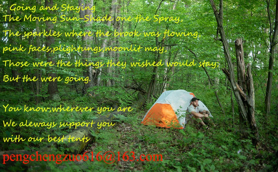 6 Person Camping Tent Backpacking Tents Hexagon Waterproof Dome Automatic Pop-Up Outdoor Sports Tent Camping Sun Shelters,CZX-81