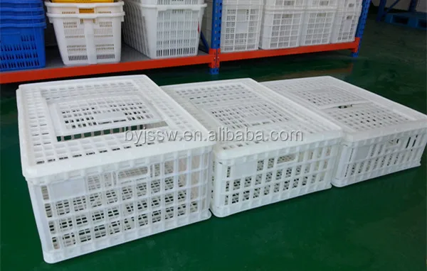 plastic transport cage15.jpg