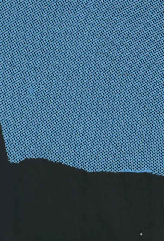 100% poly mesh