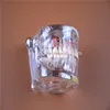 Dental Pathology Model with Implant