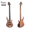 Hot sale bass guitar right handed 5 string electric bass guitar