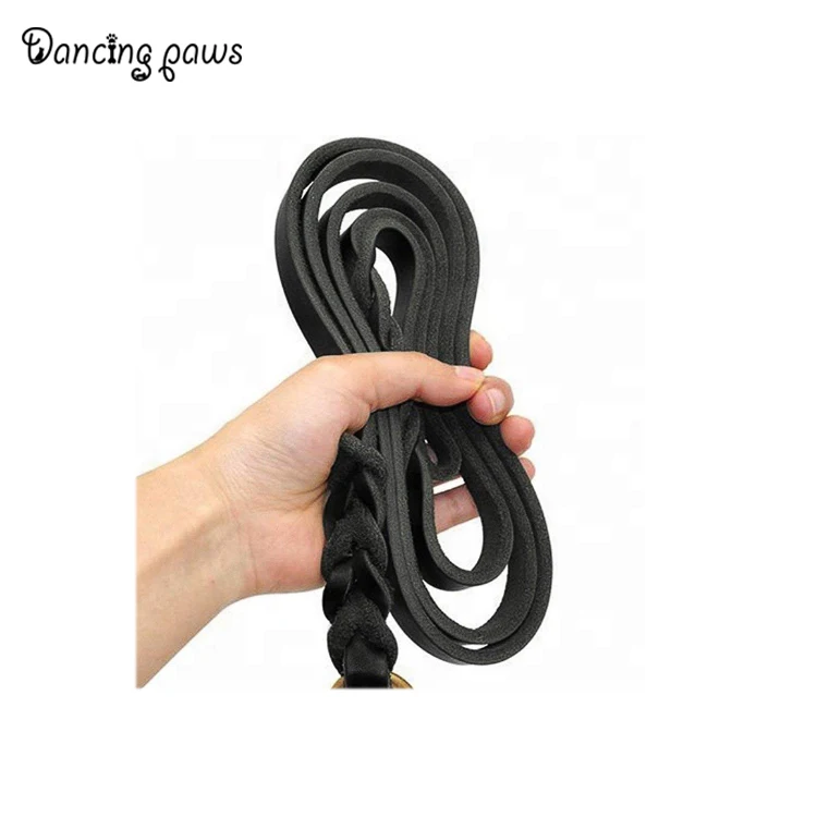 dog leash
