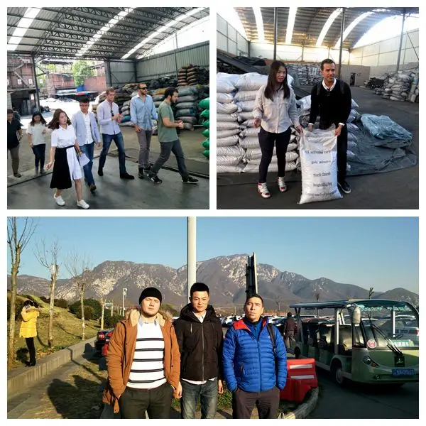 China factory supply 24-46mesh granular coconut activated carbon for MSG bleaching