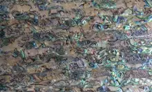 Download Eingerahmte muscheln kuesten strand wandkunst For iPhone Eingerahmte Muscheln Kuesten Strand Wandkunst