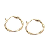 

Minimalist 18K Gold Hoop Earrings 925 Silver Round Circle Twisted Earrings Factory Price Wholesale E1289