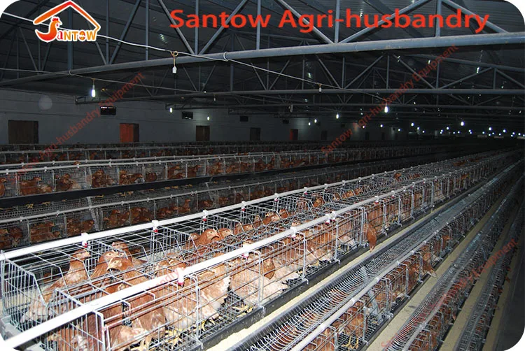 Download Design 5000 10000 20000 Birds Automatic Poultry House ...