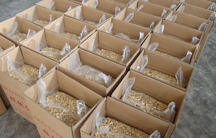 Hot selling Chinese xinjiang walnut kernel shelled light halves