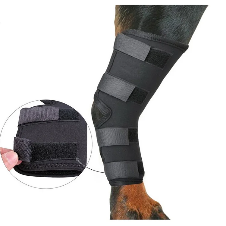 Dog Rear Leg Braces Canine Hind Hock Wraps Neoprene Dog Knee Brace