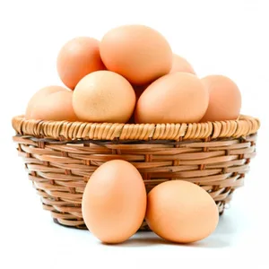 Yumurta Ürünleri