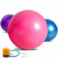 

Health and Fitness Anti-Burst Stability Gym Yoga Ball with pump