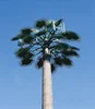 Camouflaged palm tree-shape lightening rod telecom tower