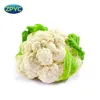 Cleaning fresh Cauliflower