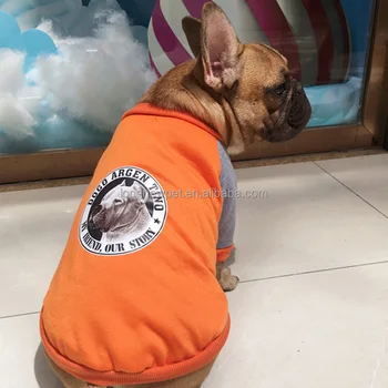 cool dog sweaters
