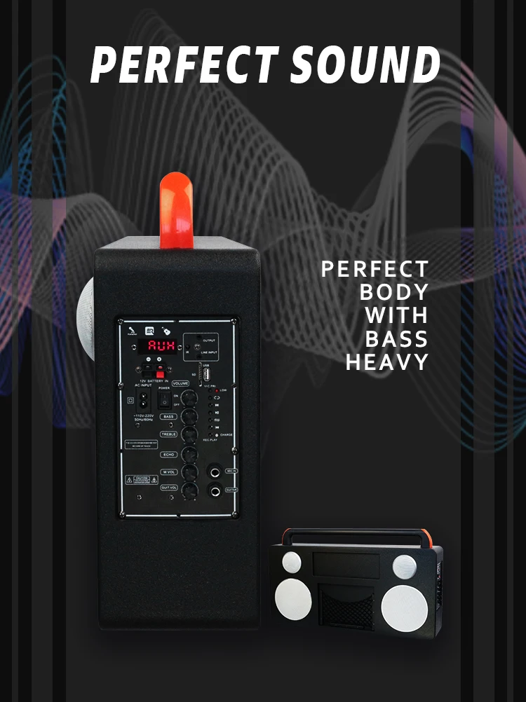 Dual 10 inch Bass colorful light speaker trolley speaker outdoor - ANKUX.COM