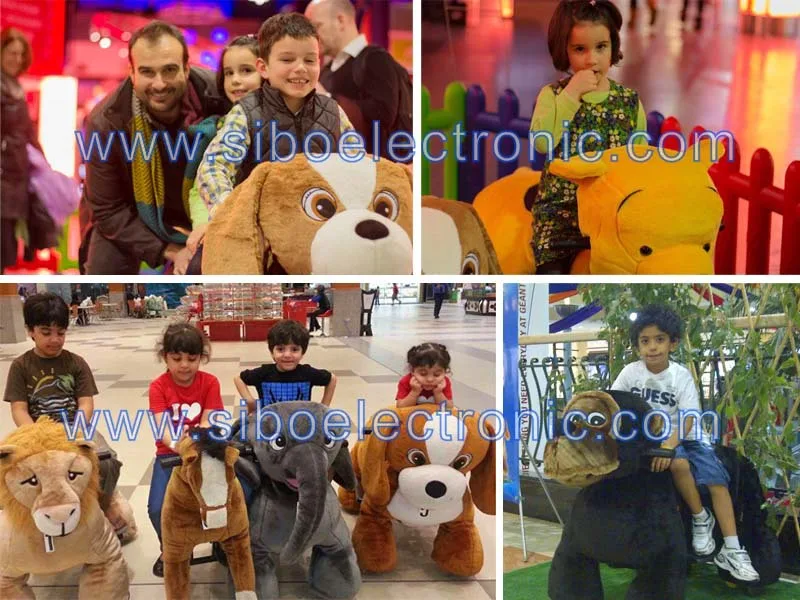 SIBO -Animal ride in different countries