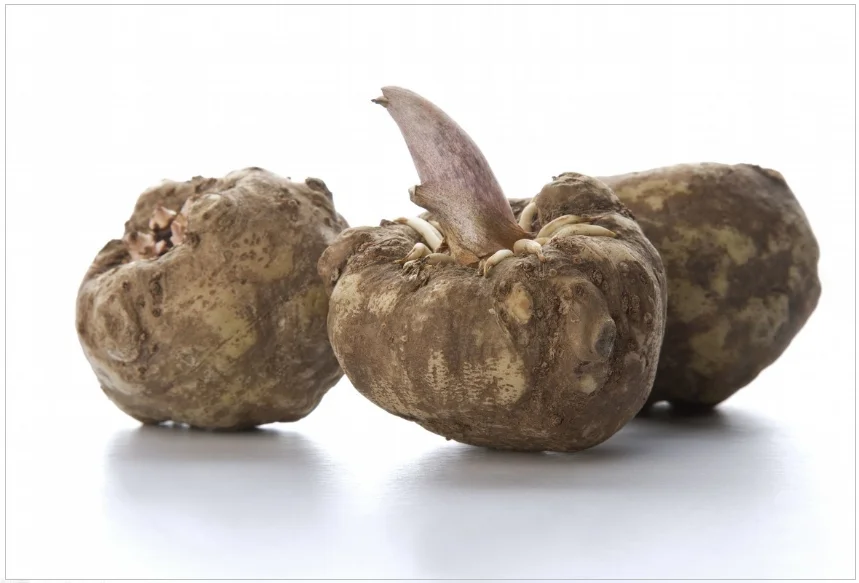 减肥有机魔芋根葡甘聚糖提取物粉