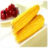 Fresh Sweet Corn For BBQ Delicious and Healthy