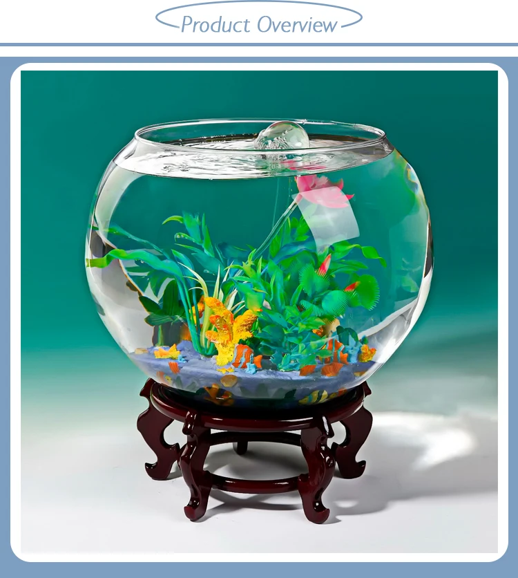 lexicon Validatie breng de actie Decoratie Ronde Glazen Aquarium Aquarium Met Accessoires - Buy Ronde  Aquarium,Ronde Glazen Aquarium,Aquarium Accessoires Product on Alibaba.com