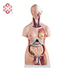 xc-204 cheap medical science lab kit human organs model