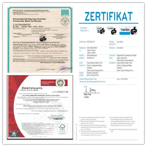 certification.jpg