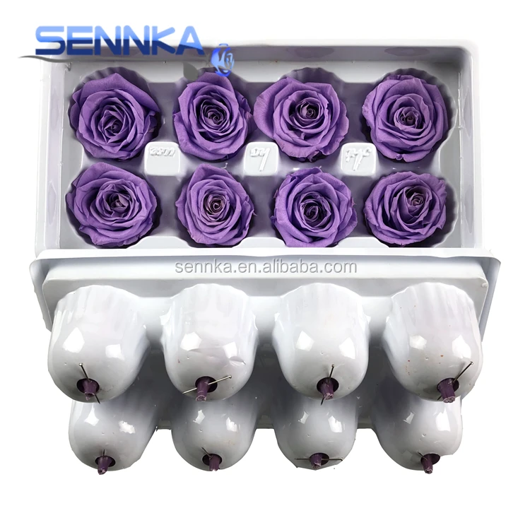 preserved rose 4-5 (45)