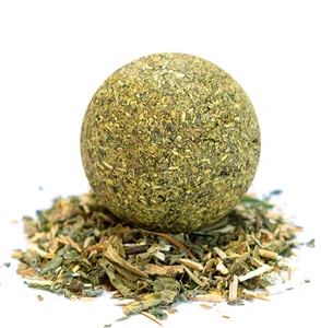 Image of Leyou Pet Cat mint ball cat snack catnip toys