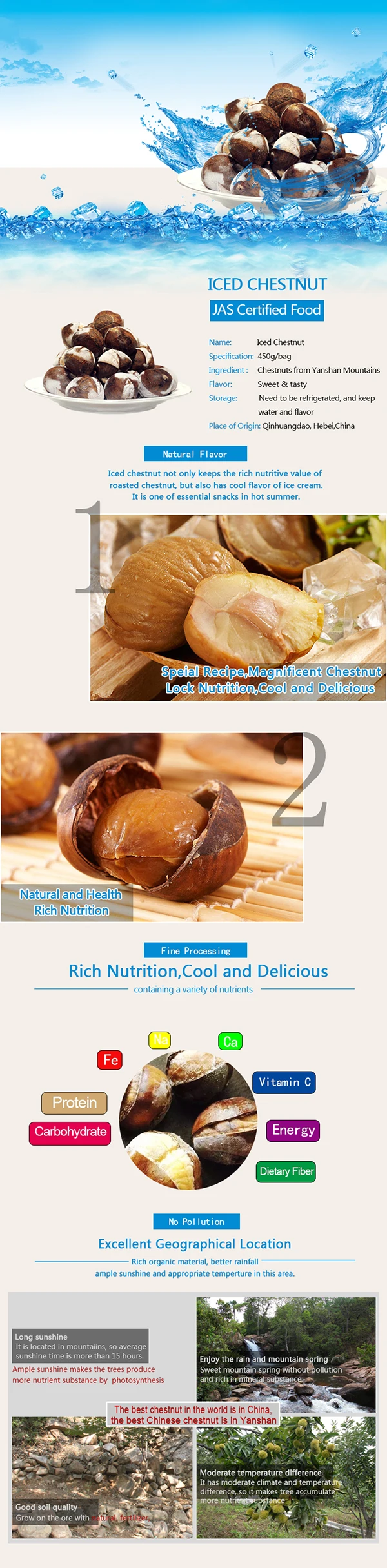 Details of Iced Chestnuts.jpg