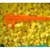 new season high quality good price IQF Fast Frozen Mango dices Mango cubes