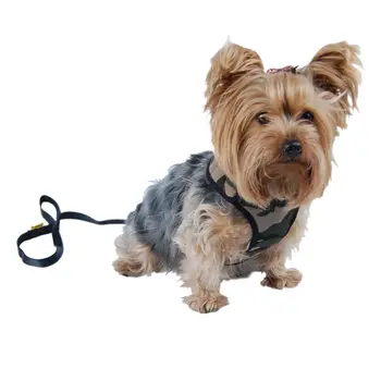 camo dog harness and leash